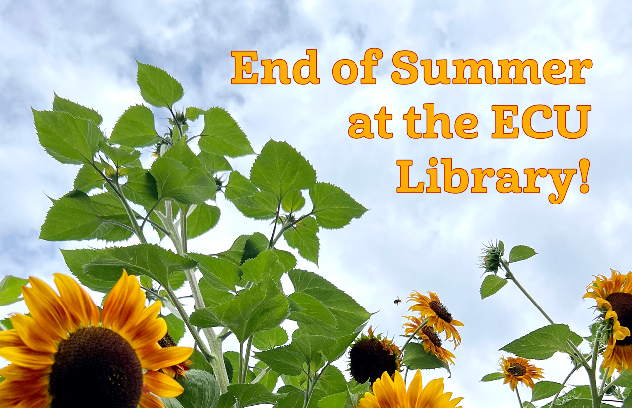 End of summer update