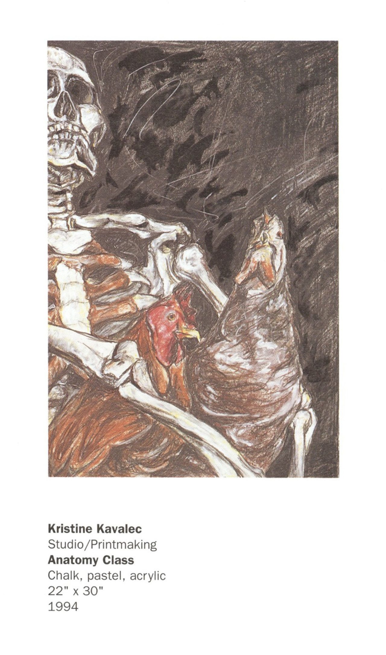 Kavalec Anatomy class 1995