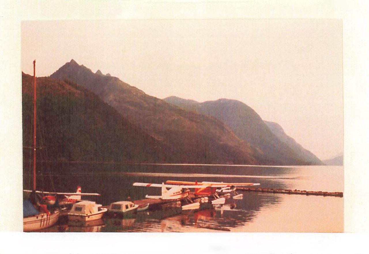 Polly Seaplanes
