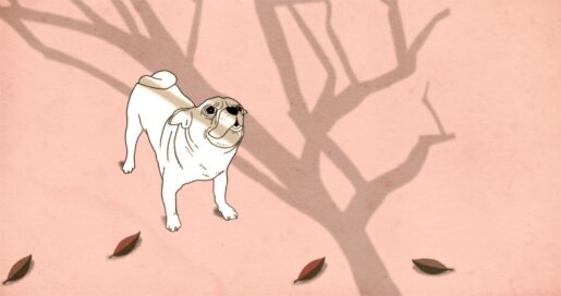 2 1021014 1021013 Old Dog NFB Grab 10002321