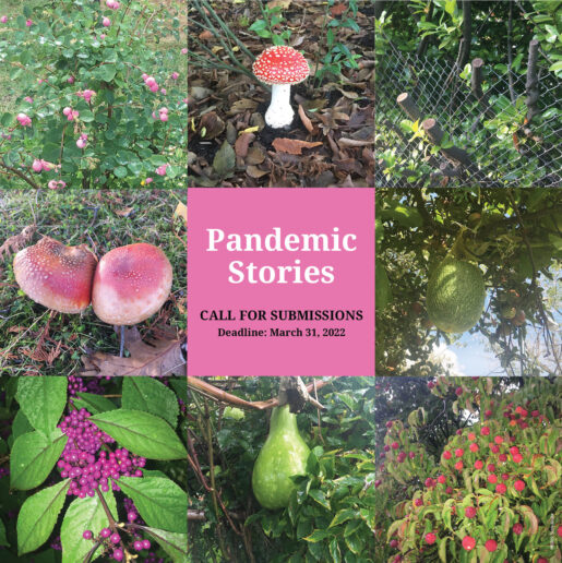 Pandemic Stories web Call