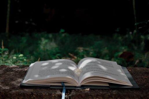 Richa sharma u8m5 J Yq W0 Zg unsplash