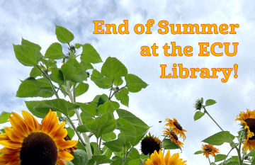 End of summer update