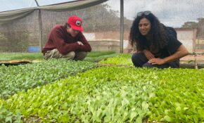 Delerio Farm Trip 2
