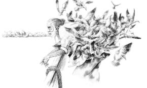 Drawings from Stefan Gibson’s ‘Where To Begin.’