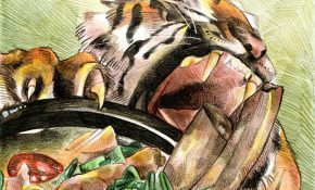 Angel Chan, 'Tigers' Short Rib Soup ver.1,' 2025. Watercolor & pencil crayons on paper.