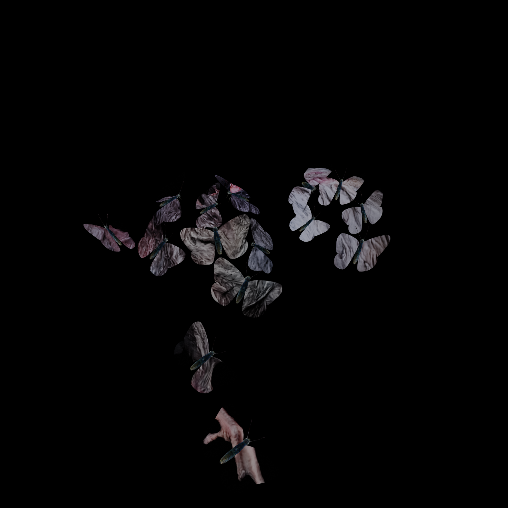 Export 20000 B 2048x2048