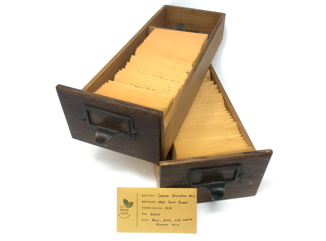 ECU Library seed swap drawers