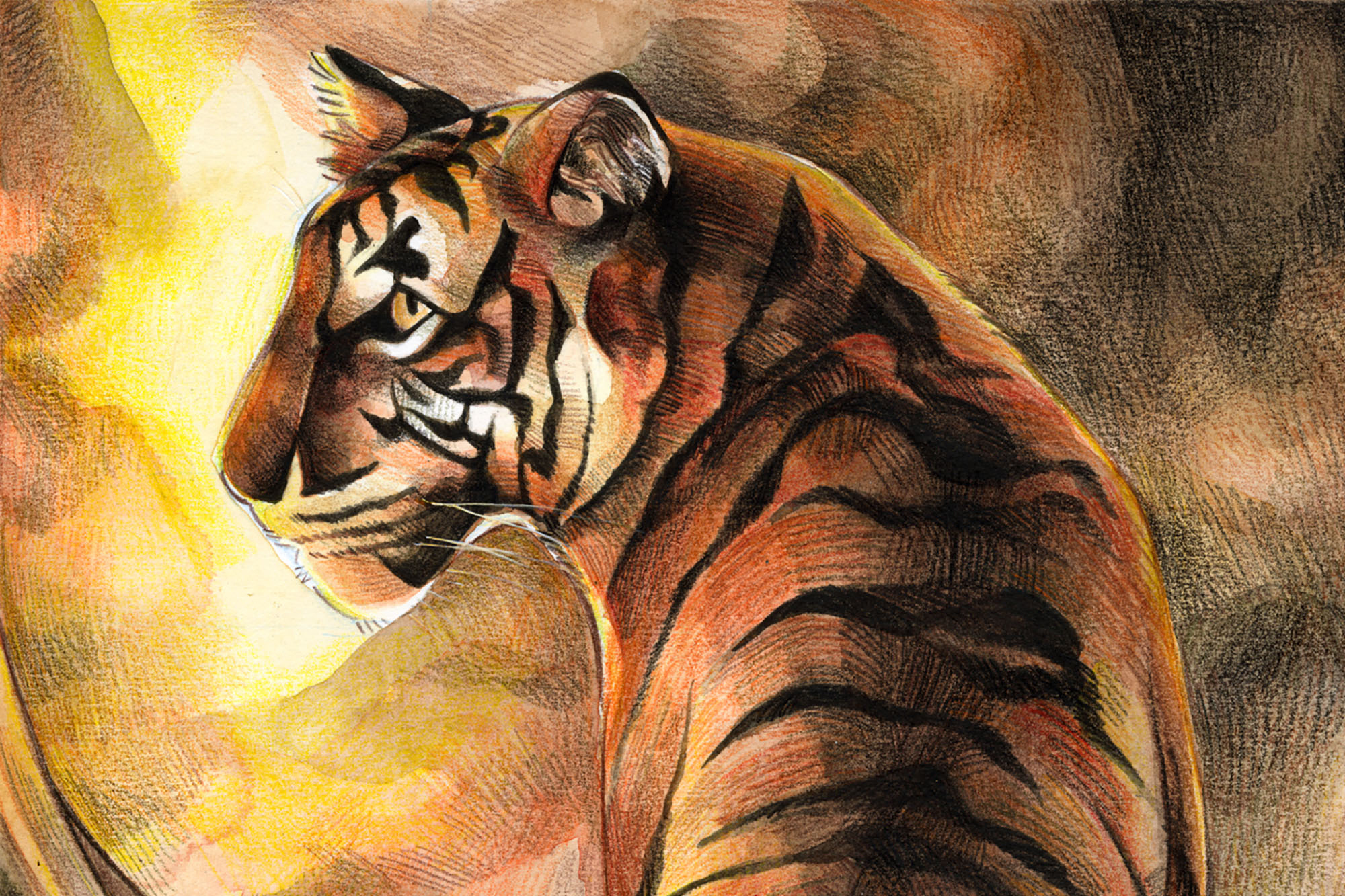 Tigersoup THUMBNAIL