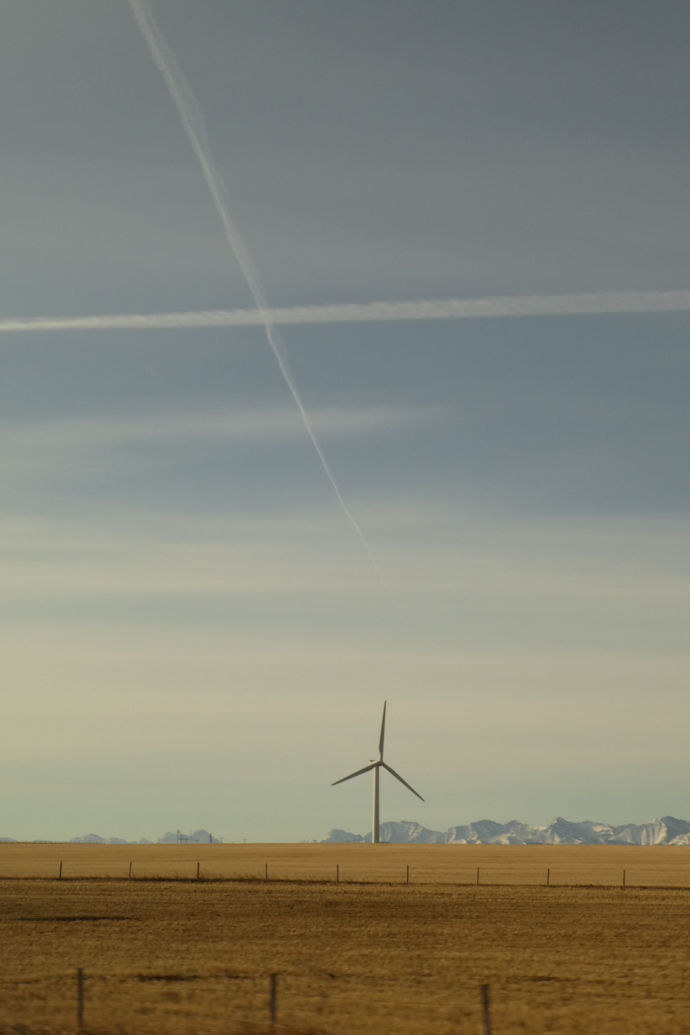 ALICIALAWRENCE Fort Macleod AB Mar2022