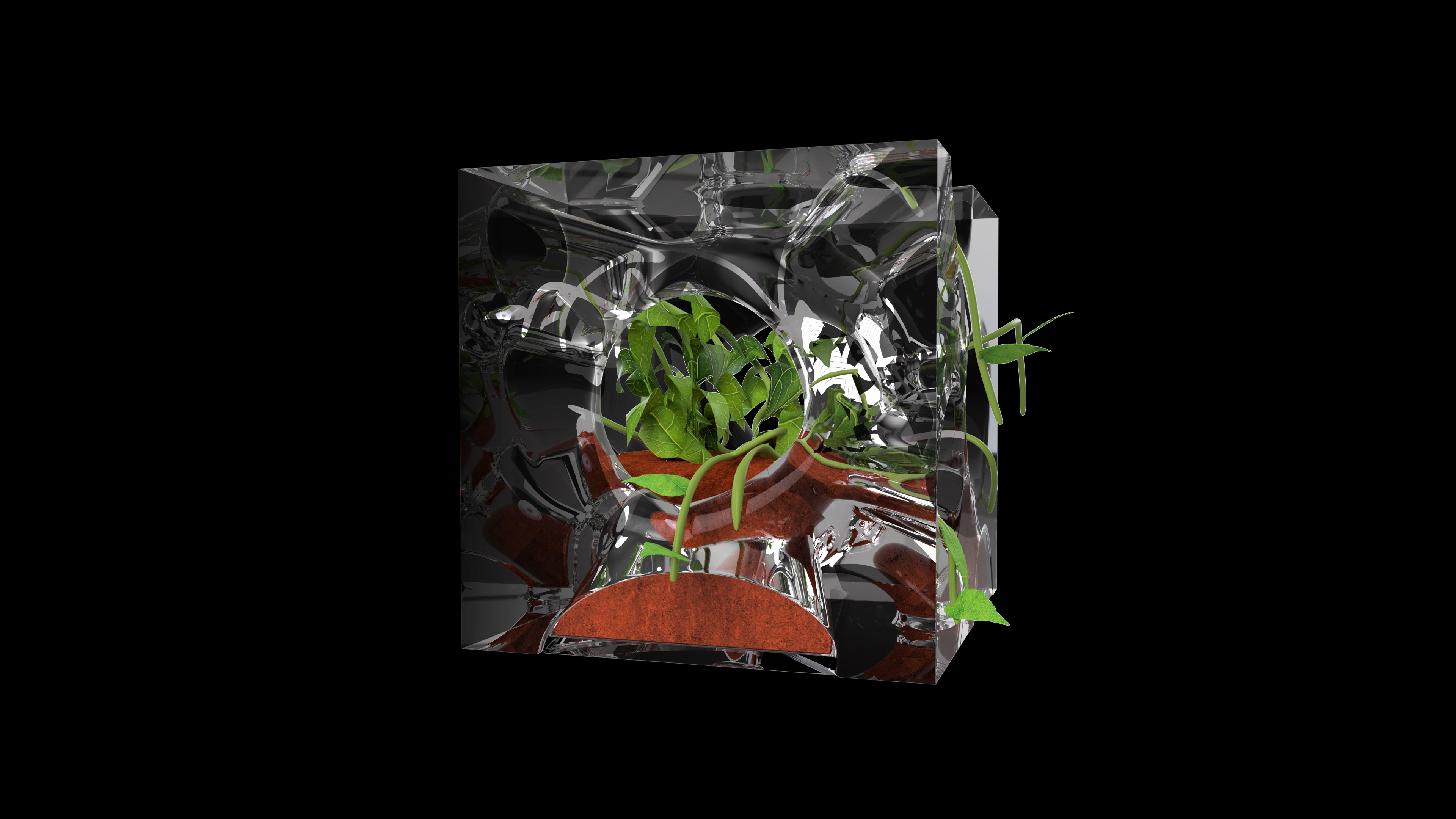 Biolux 5