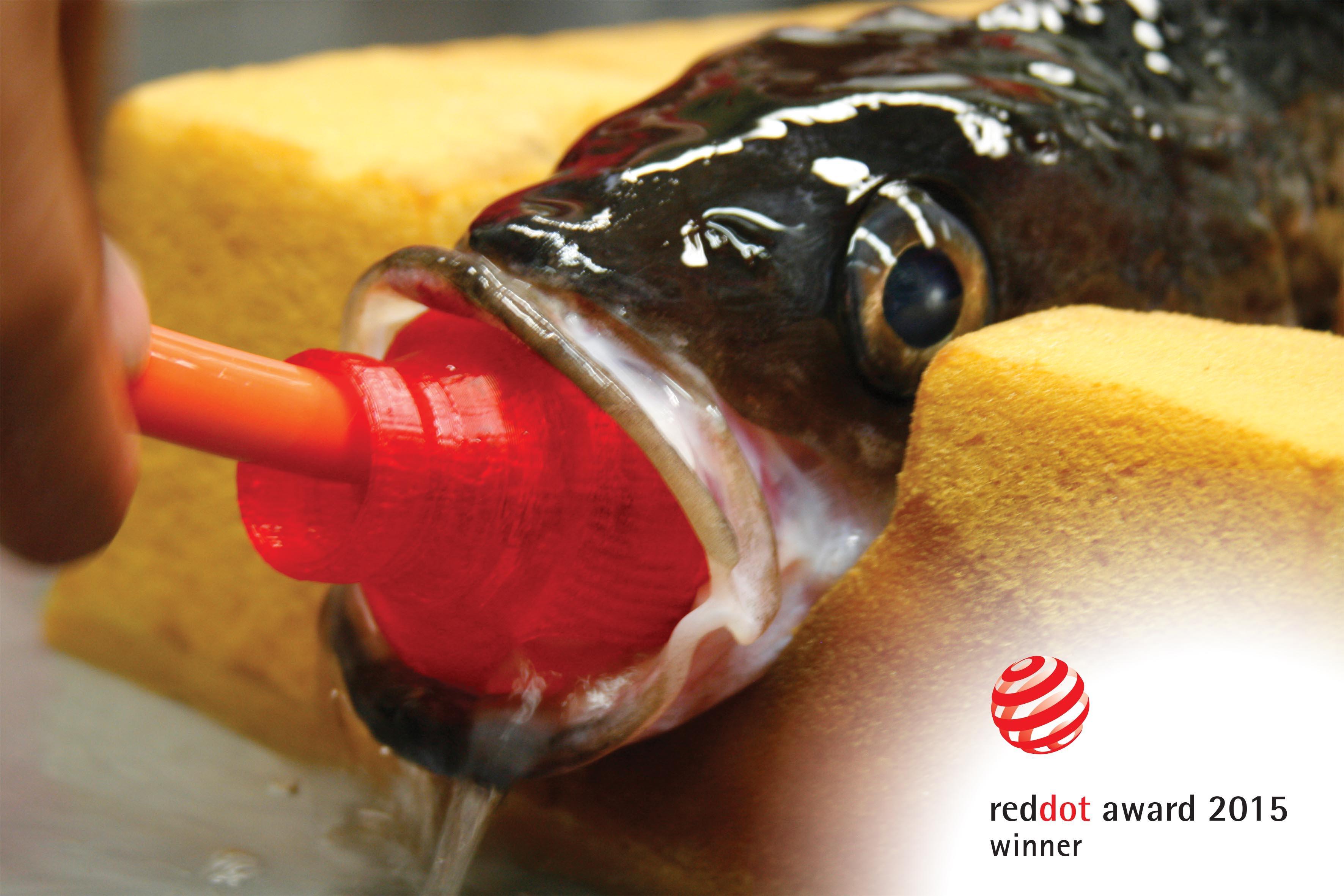 Gleiberman-Gilligator-Red-Dot-Fish-3