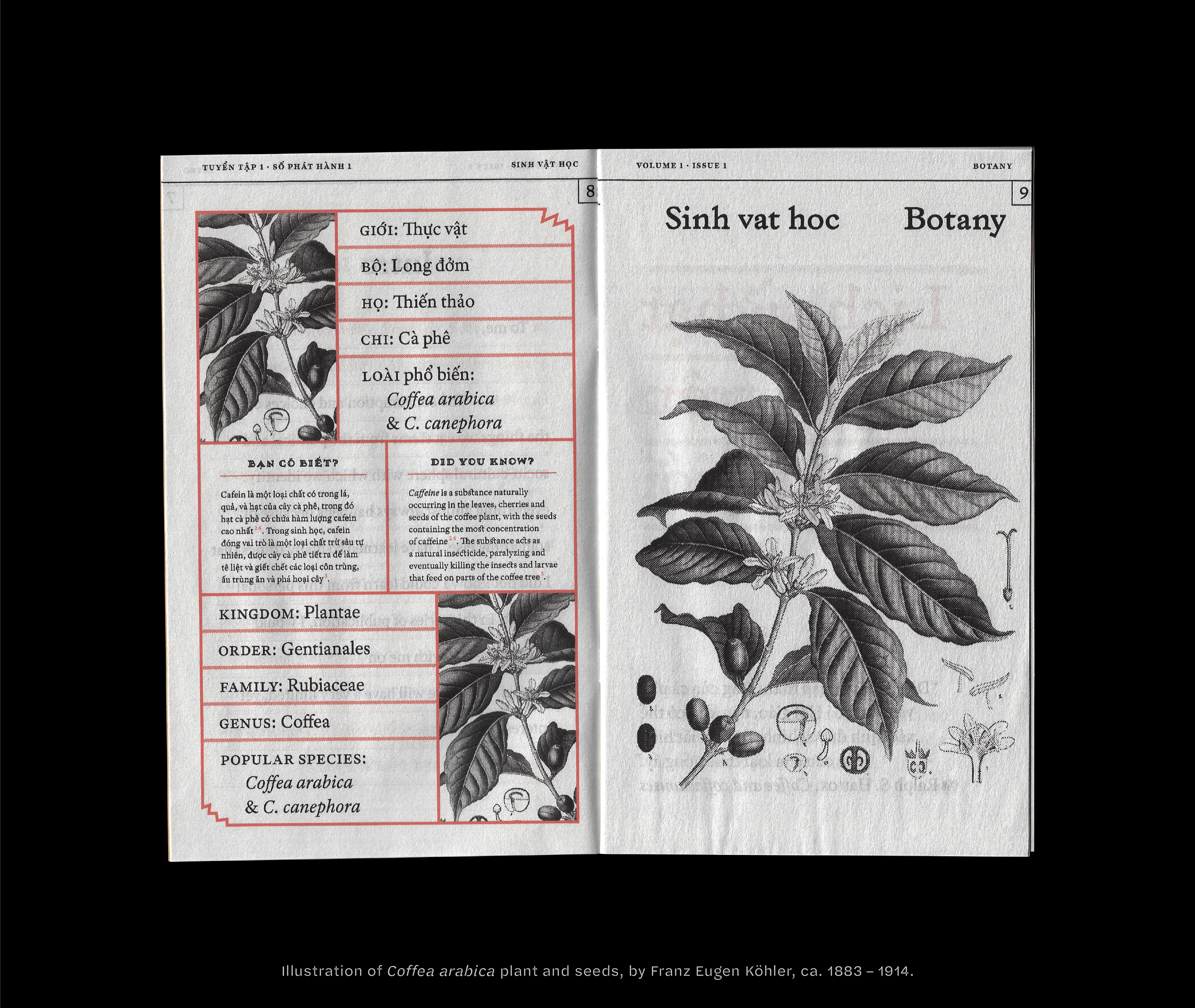 Side Dish Triet Pham Graphic Design 03