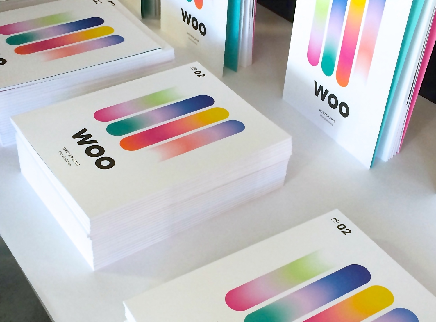 Woo Publication Winter 2016