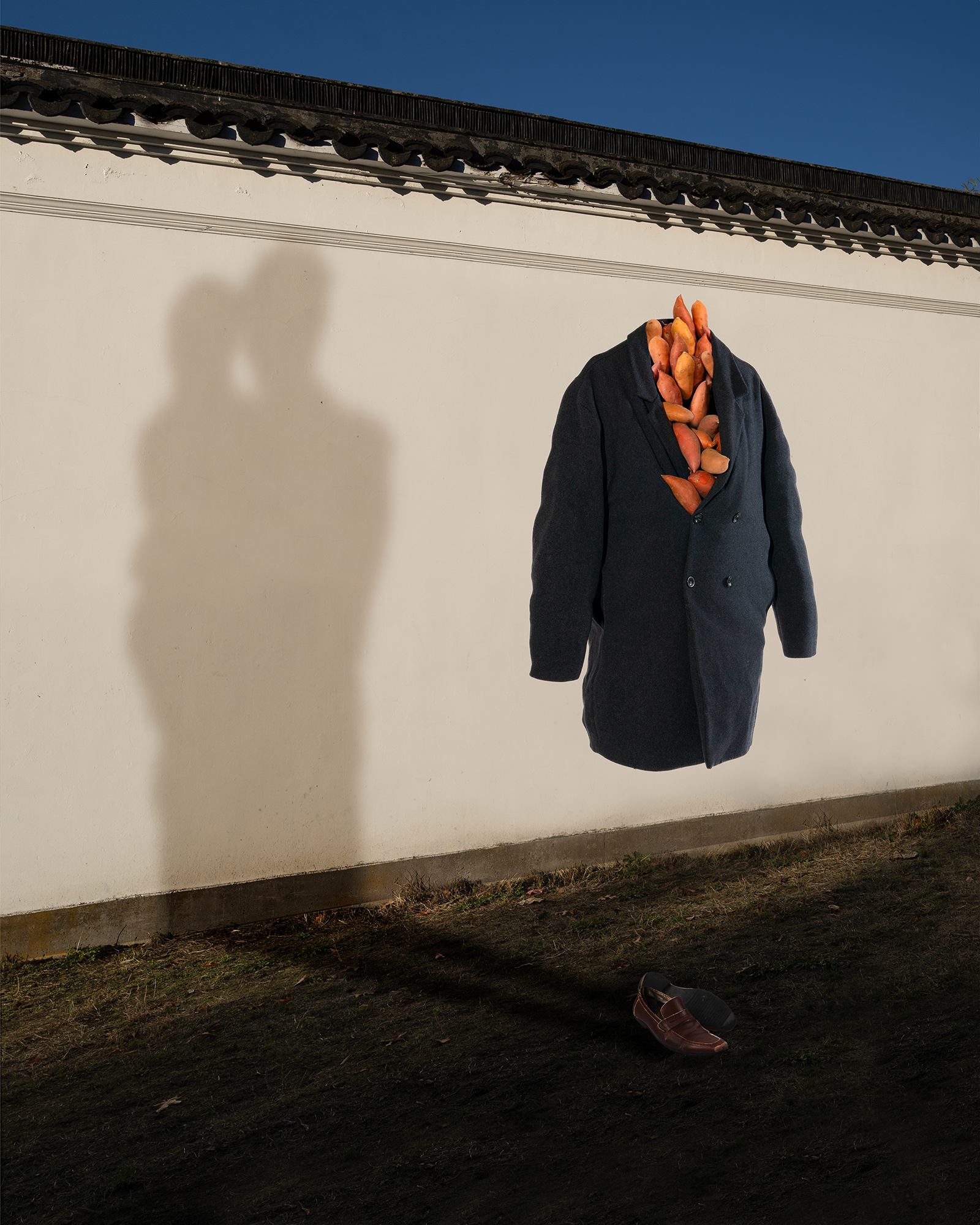 Yams in the Coat