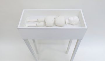 Stephanie Gagne Dissection