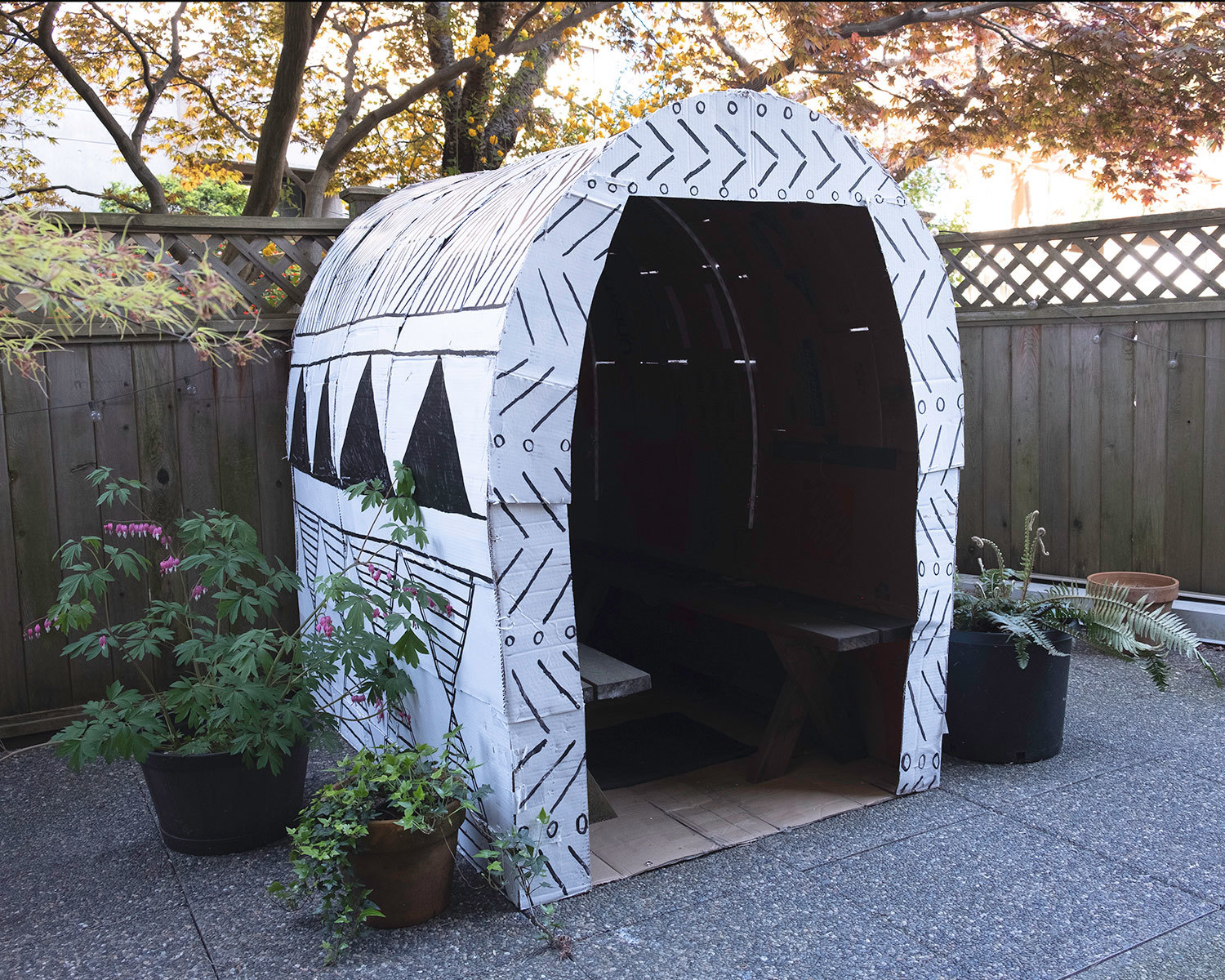 Shelter 1 web