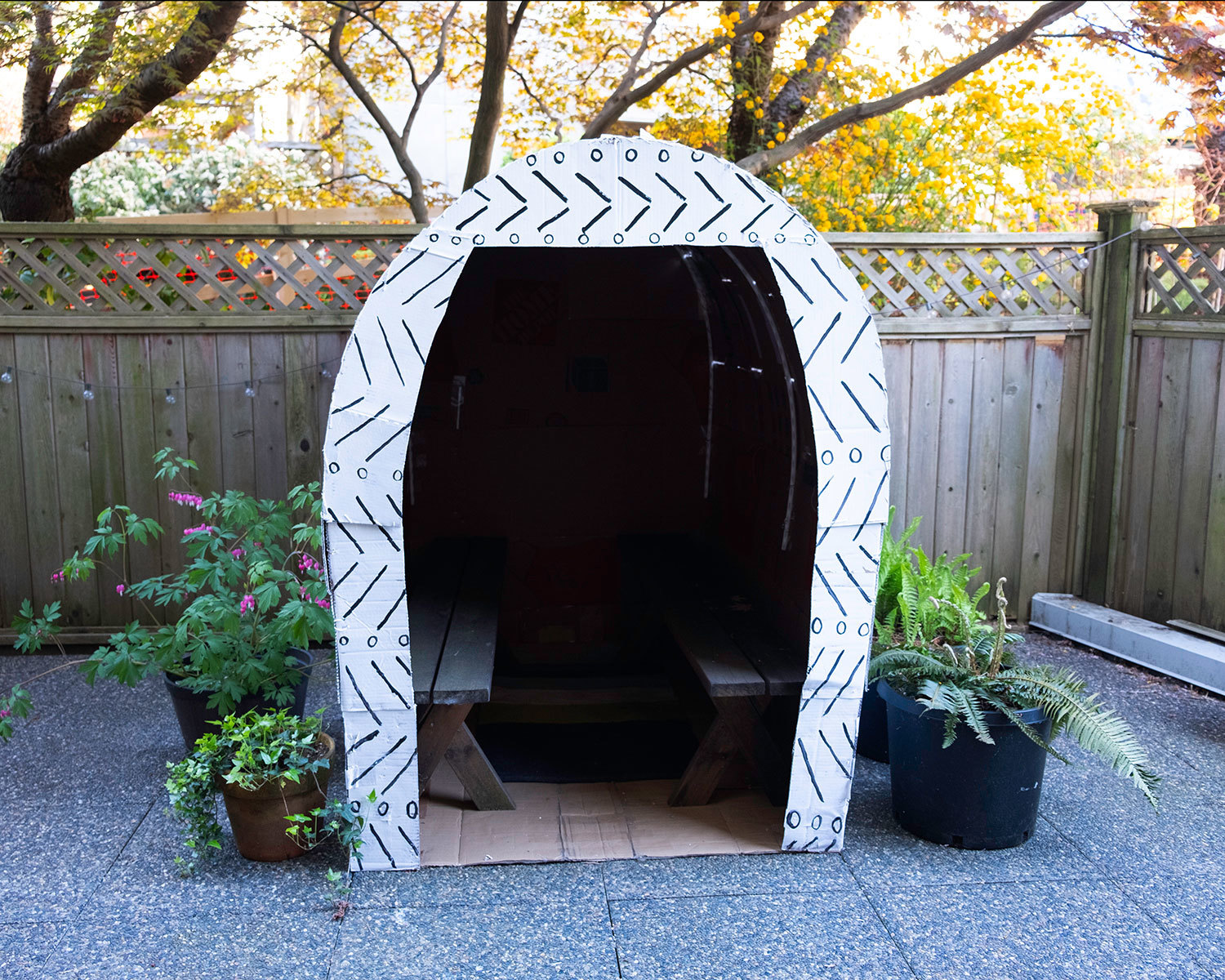 Shelter 2 web